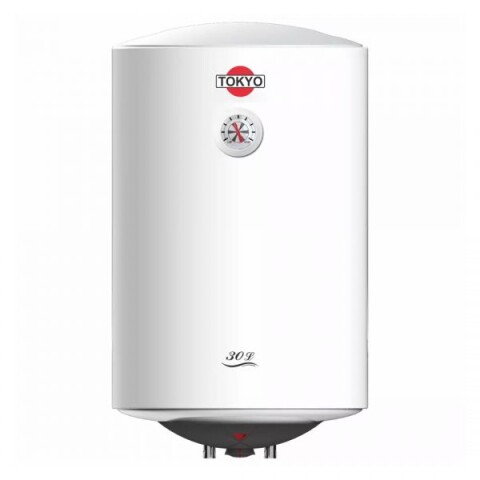 Termotanque Tokyo Vertical 30 litros 1500W 3015F3 Termotanque Tokyo Vertical 30 litros 1500W 3015F3
