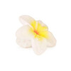 Mordillo Oli & Carol Hawaii La Flor