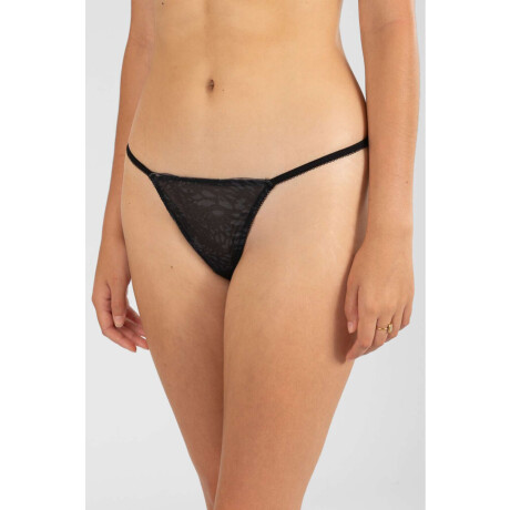 Colaless tiritas lova Negro
