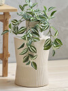 Planta artificial ASGAR A24cm verde Planta artificial ASGAR A24cm verde