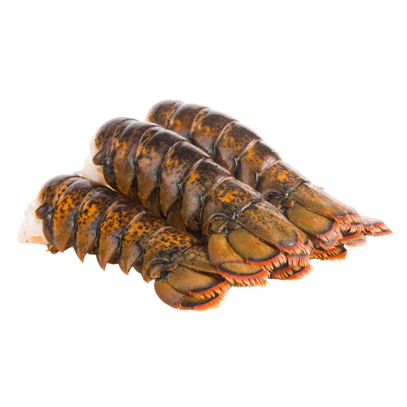 COLA DE LANGOSTA COMUN DEL CARIBE 130 - 154 grs Cola De Langosta Comun Del Caribe 130 - 154 Grs