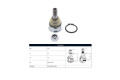 Rotula Del Nissan Sentra B15 01-06 Der/Izq Rotula Del Nissan Sentra B15 01-06 Der/Izq