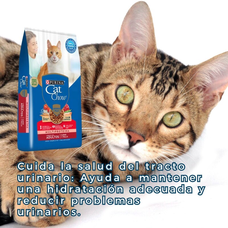 CAT CHOW GATOS ADULTOS CARNE Y POLLO 3 KG