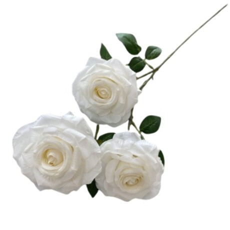 Rosa Tres Flores Blanco