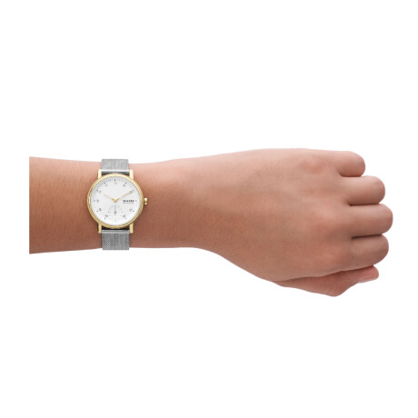 RELOJ SKAGEN FASHION ACERO PLATA 0