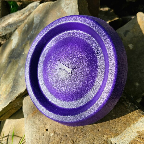 Juguete Para Perro Frisbee Disco Mascota Resistente Calidad Color Variante Violeta