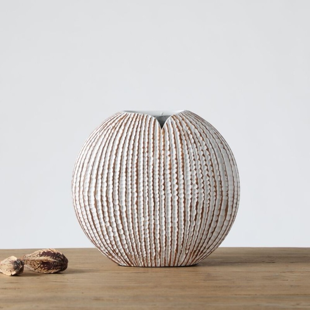 Avellana Pequeña Avellana Pequeña