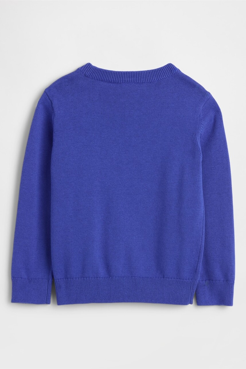 Buzo Gráfico Toddler Niño Royal Gem