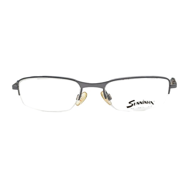 SX101435 grisuniforme