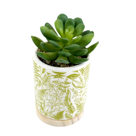 PLANTA ARTIFICIAL SUCULENTA C/MACETA CERAMICA VETEAD 6CM DIAMX12CM PLANTA ARTIFICIAL SUCULENTA C/MACETA CERAMICA VETEAD 6CM DIAMX12CM