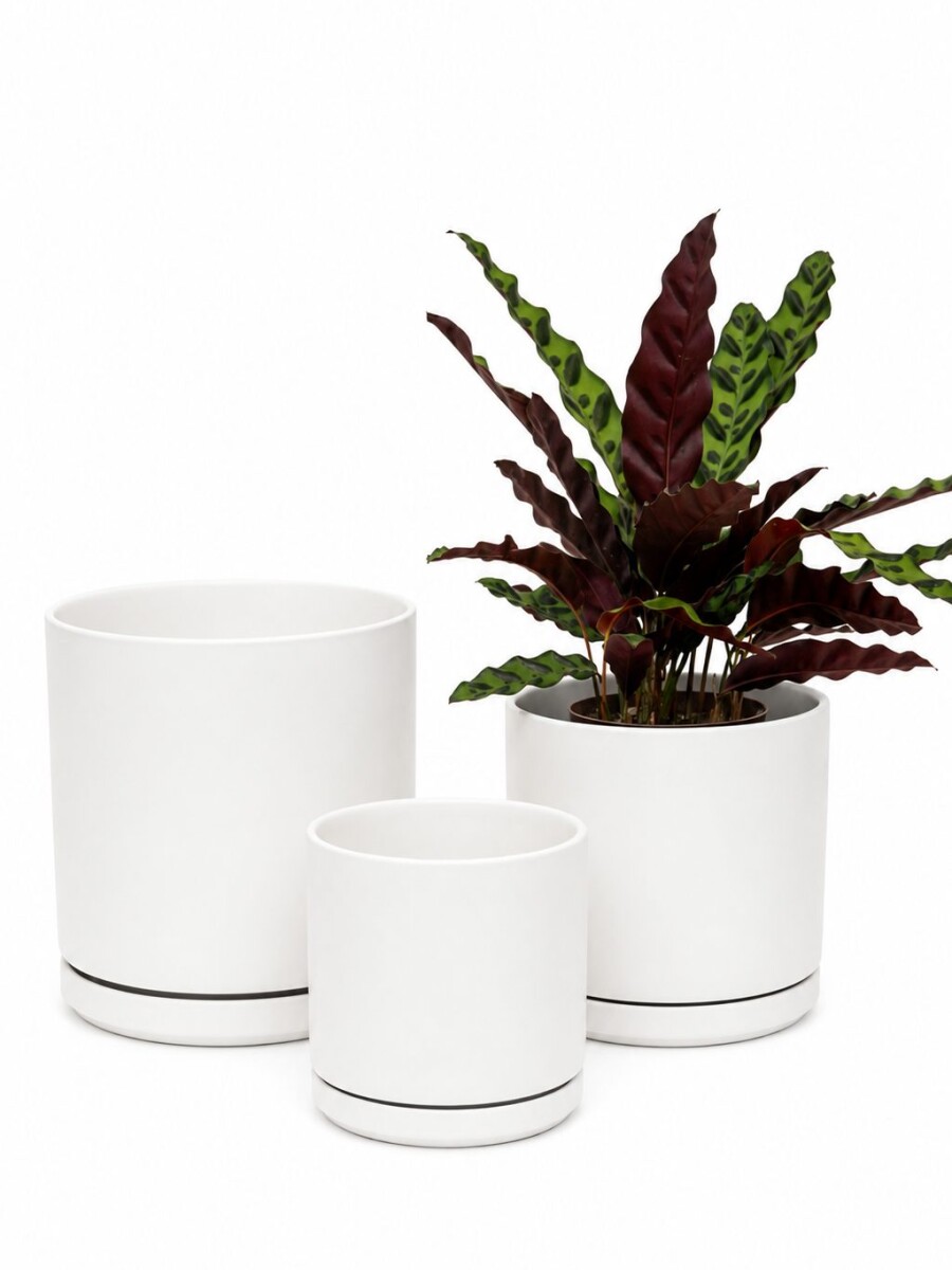 MACETA CERÁMICA Blanca con Plato Minimalista MACETA CERÁMICA Blanca con Plato Minimalista