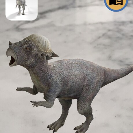 Bloque de dinosaurio pachycephalosaurus