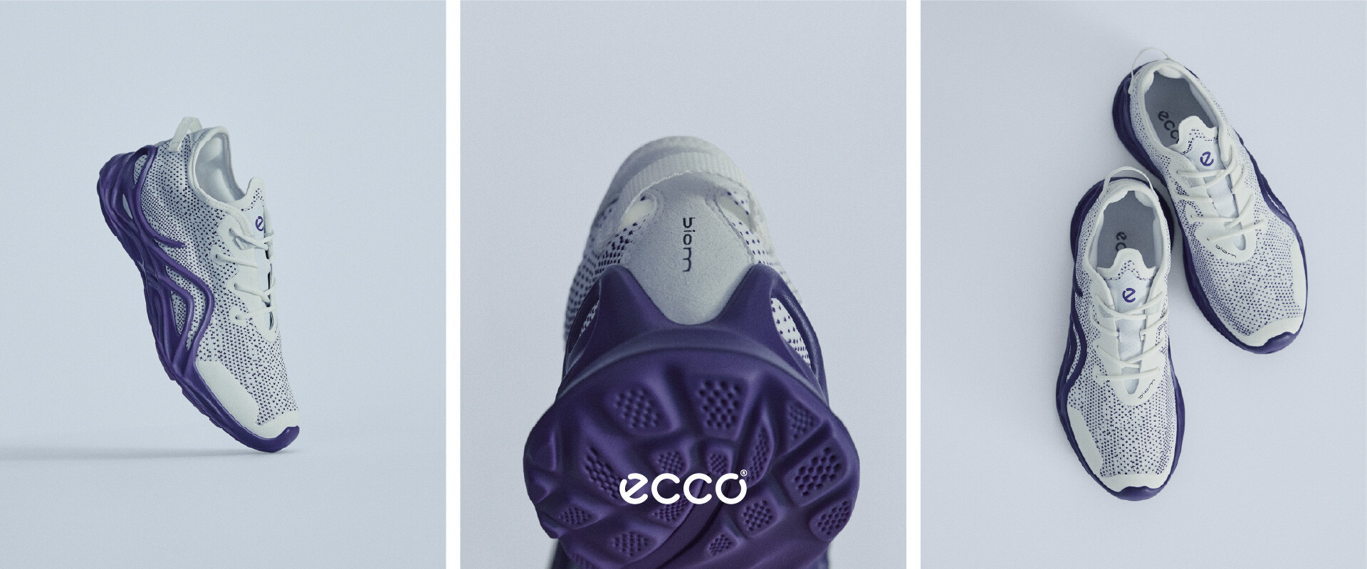 Homeslider ecco noviembre 2025