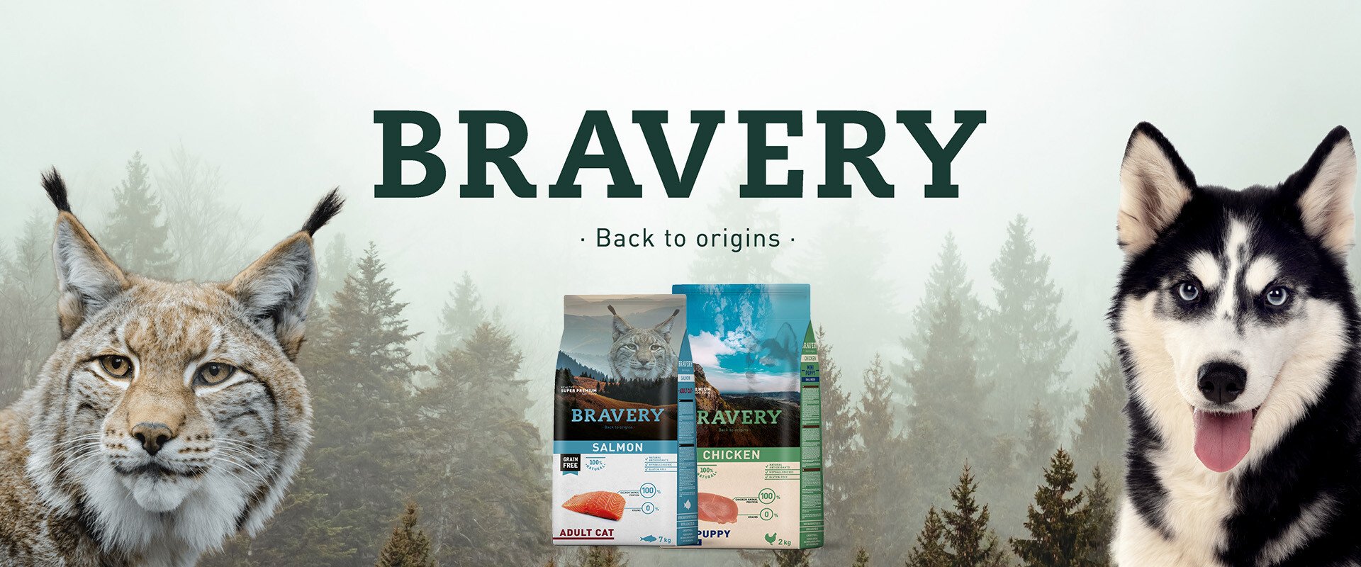 Alimento seco Bravery