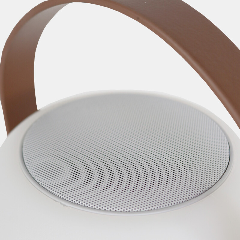 SPEAKER C/LUZ A BLUETOOH C/CONTROL Y USB18X25CM Unica