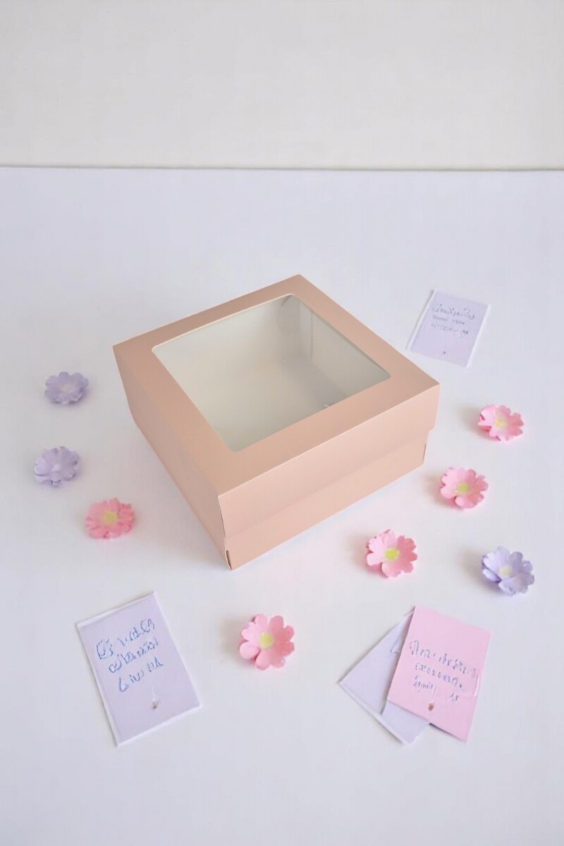 Caja flexi 51 20x20x9,5 c/visor. - NUDE 