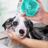 Cepillo Dispensador De Shampoo Para Mascotas Cepillo Dispensador De Shampoo Para Mascotas