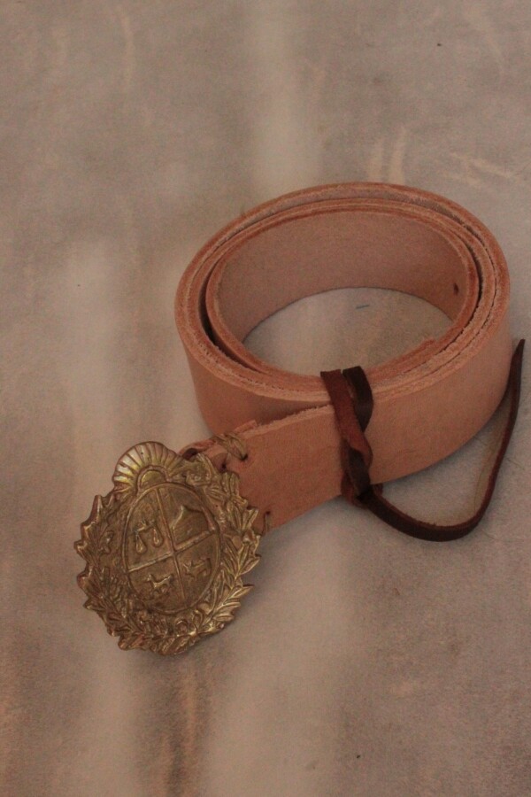 Simple Escudo Belt Dorado