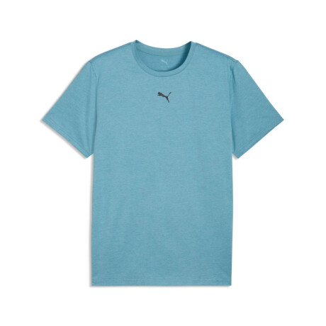 Remera Tad Essentials Heather Cat Tee de Hombre Celeste