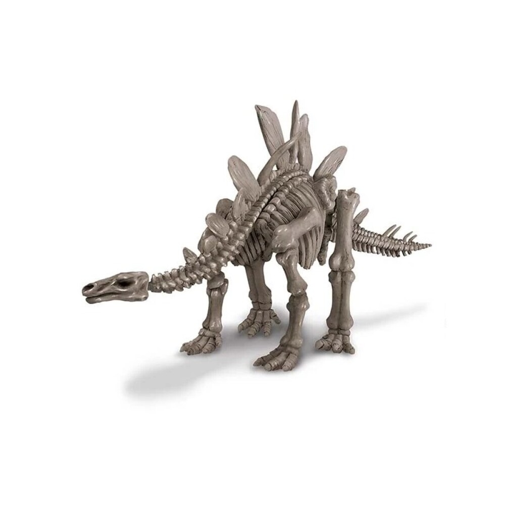 Kit de Excavación – Esqueleto de Stegosaurus KIT EXCAVACION STEGOSAURUS SKELETON