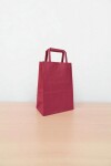 Bolsa lisa acuario 14x08x20 cm FUCSIA