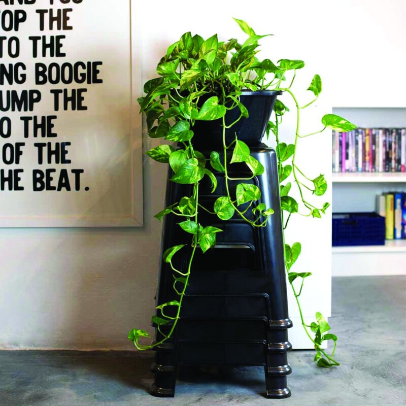 Set x10 Banquetas Bela Vista NEGRO