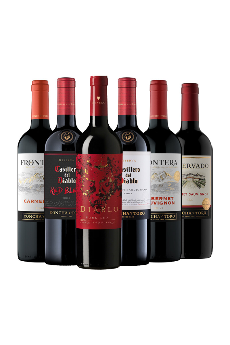 Pack Bacán Selección Coordenada Pacífico x6 vinos chilenos 