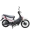 Moto Dirty St 110cc Pollerita - Blanco