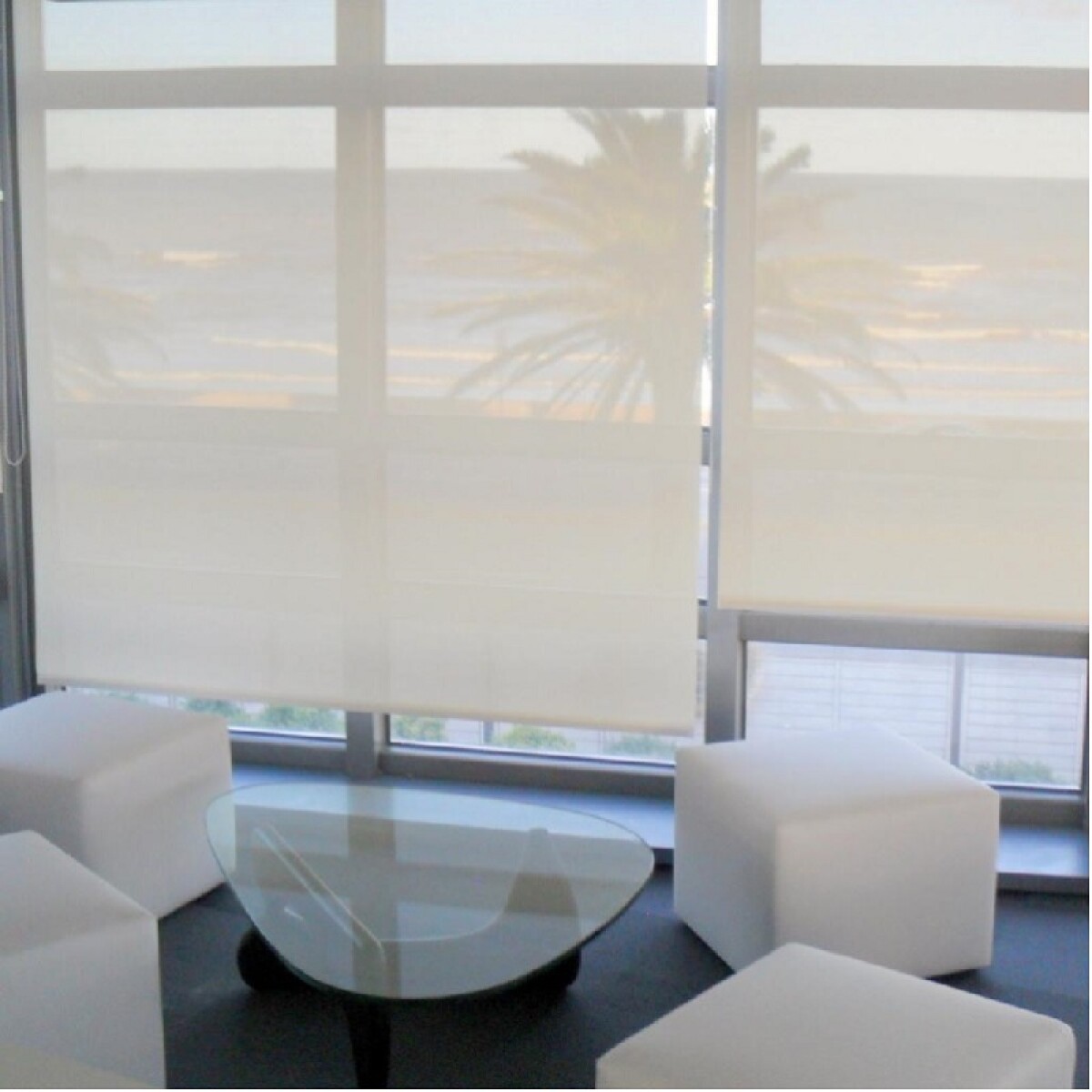 Roller en Sun Screen Blanco 