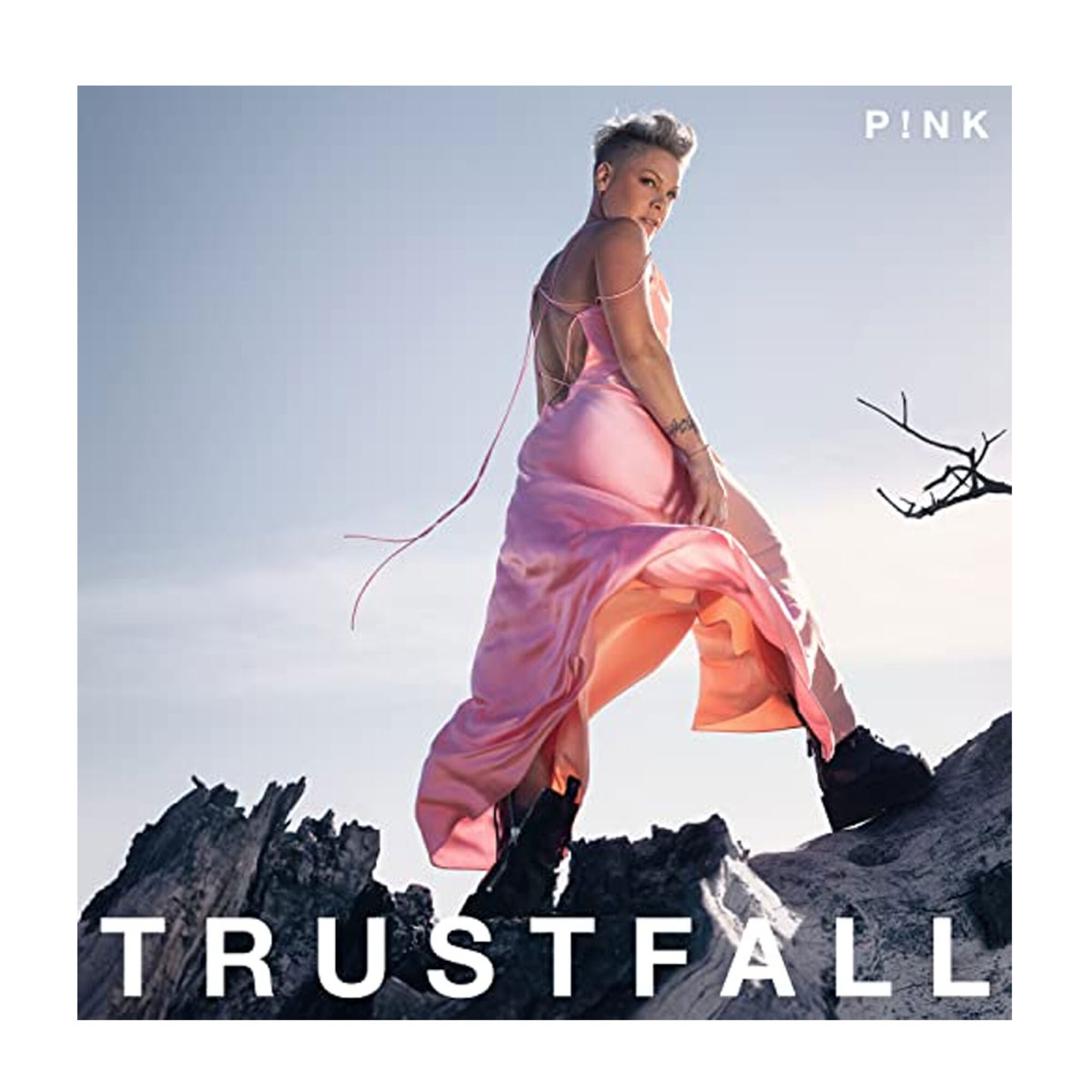 Pink / Trustfall Lp Vinilo — Palacio de la Música