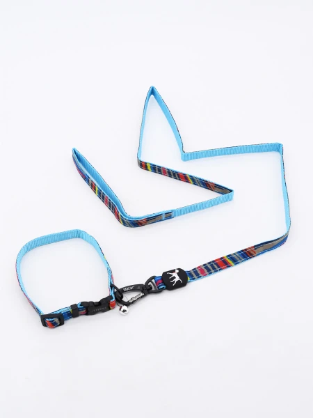 SET COLLAR CON CORREA MULTICOLOR