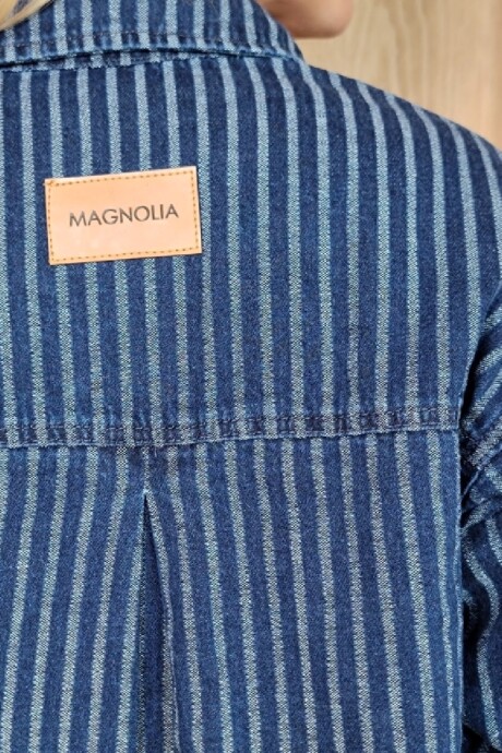 Sobrecamisa Josefina Stripped raya azul