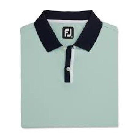 REMERA CABALLERO FJ Performace Verde claro