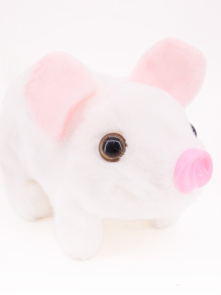 CHANCHO CAMINA A PILAS BLANCO