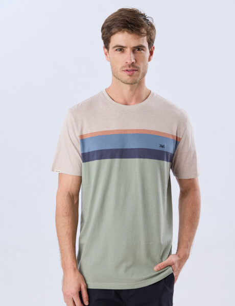 REMERA RAYADA DE ALGODÓN Pistacho