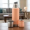 Set termo Comet Viena 1 lt + Mate de 160 ml Naranja