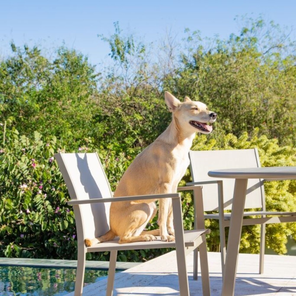 SILLA JARDÍN EXCLUSIVA ALUMINIO Y TELA PHIFER TAUPE/ KHAKI