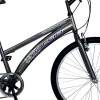 Bicicleta ALPINA LADY - Rodado 26 - Baccio Gris