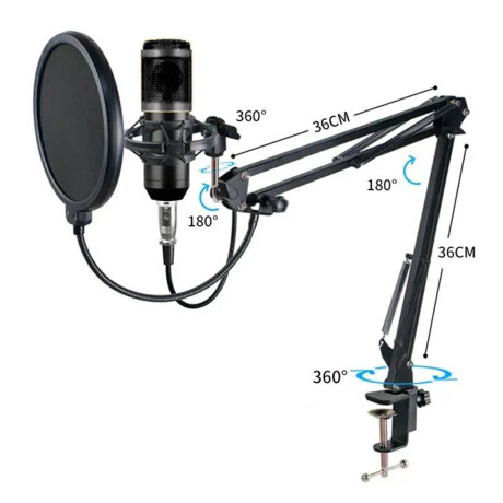 Set Micrófono Completo Estudio Grabación Podcast Pro Negro