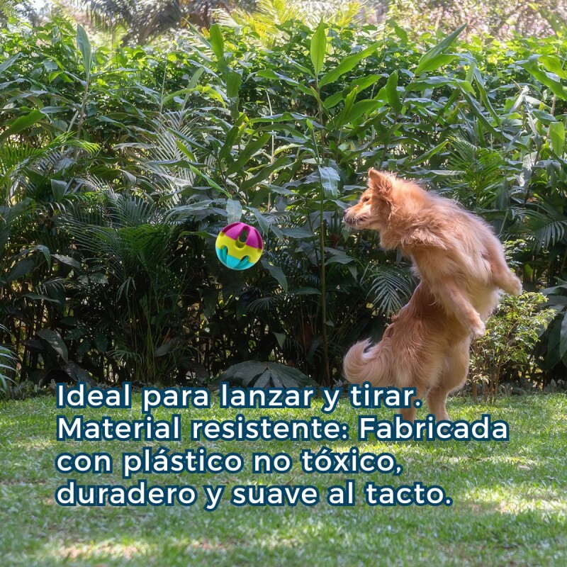 PELOTA TRICOLOR CON CASCABEL PARA PERROS PELOTA TRICOLOR CON CASCABEL PARA PERROS