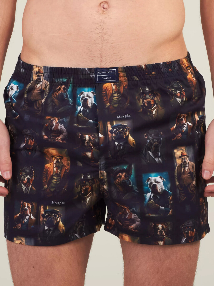 Bóxer Kevingston - DAE 