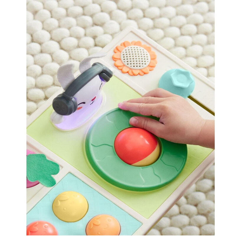 Juego musical de conejo dj Skip Hop Juego musical de conejo dj Skip Hop