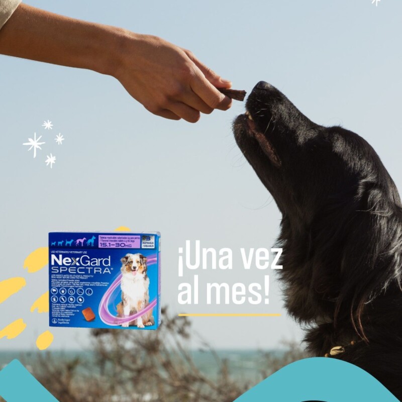 NEXGARD SPECTRA X 3 COMPRIMIDOS ANTIPARASITORIO INTERNO Y EXTERNO DE 15,1 A 30 KG