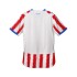 Camiseta Puma Paraguay Oficial Home 2026 L