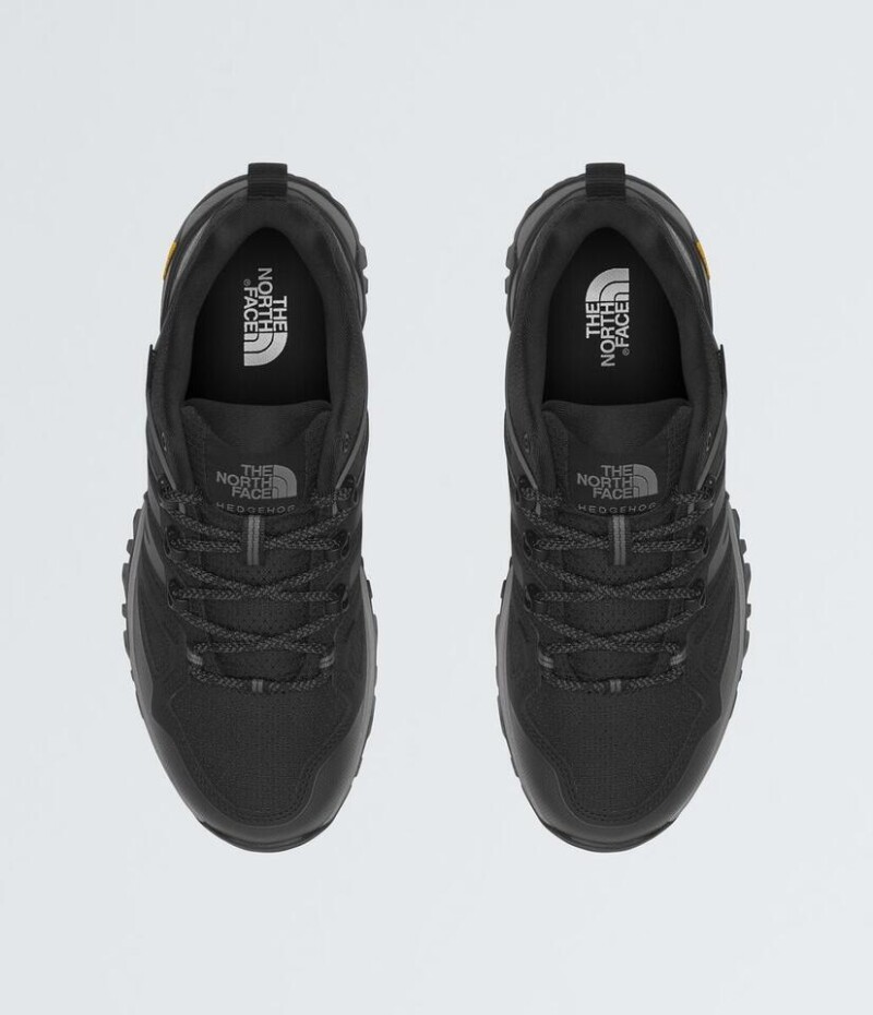 Zapatos Hedgehogs GORE-TEX® Tnf Black/asphalt Grey