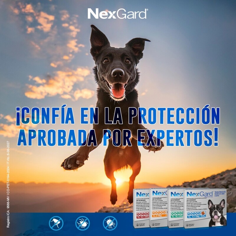 NEXGARD PASTILLA ANTIPULGAS Y GARRAPATAS X 3 COMP DE 10,1 A 25 KG