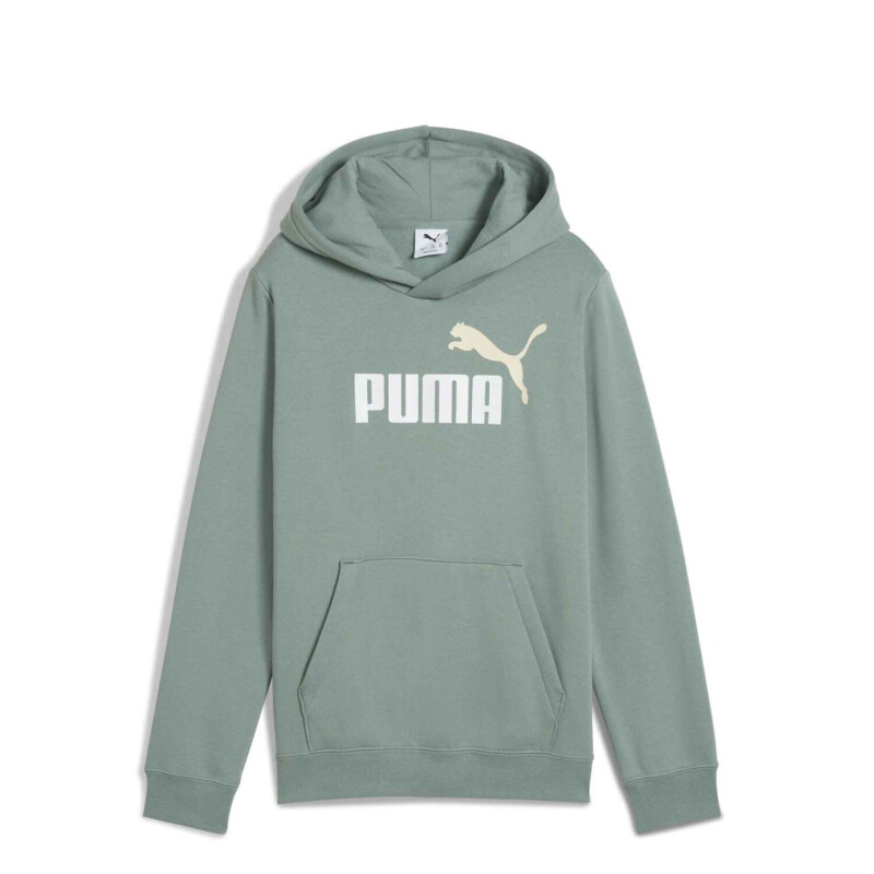 Buzo de Hombre Puma Logo Hoodie Verde