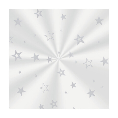 Bolsas de Celofán ESTRELLAS PLATA x50 15x29 cm