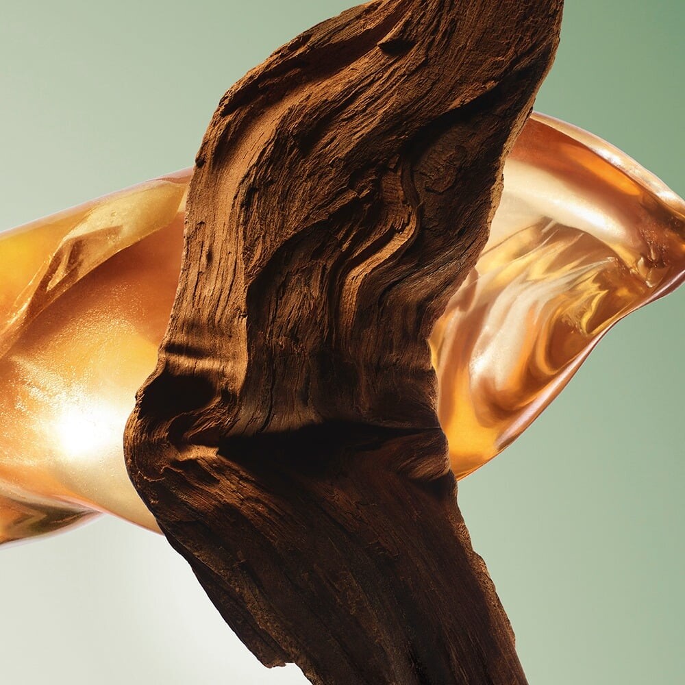 Notas de fondo: benjuí, bálsamo de Perú y madera de guayaco