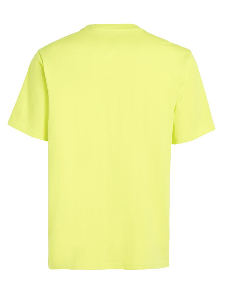 Remera O'Neill Teahupo'o Remera O'Neill Teahupo'o